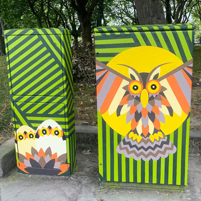 Dublin Canvas Project 2022: What A Hoot!